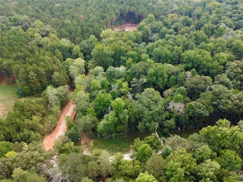 Natural landscape and outdoor views near  in Madison (Image 16).