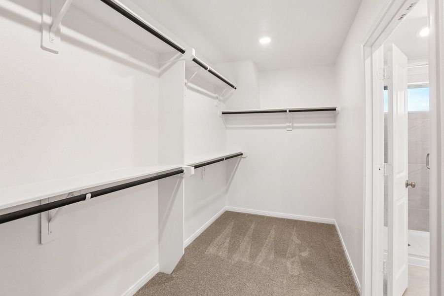 Spacious, unfurnished interior of a new home in Aldeana - Paintbrush Collection, Bonney (Image 35).