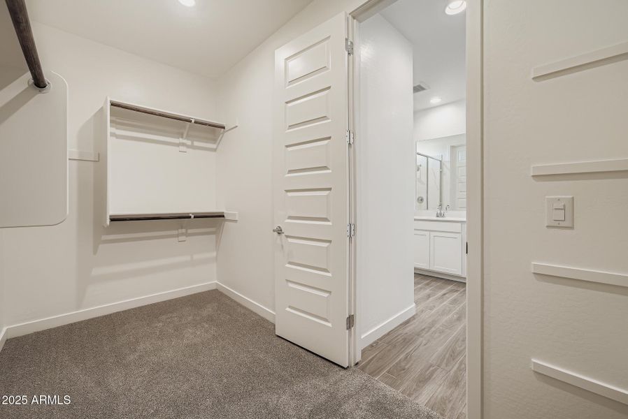 Owners Walk in Closet