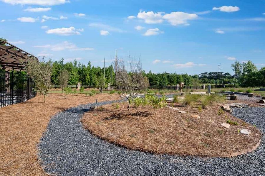 Community amenities in Bennett Farm, Loganville (Image 57).