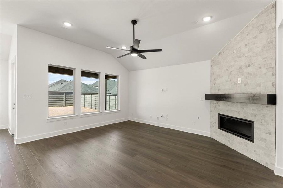 10. 7245 Ladybug - Family