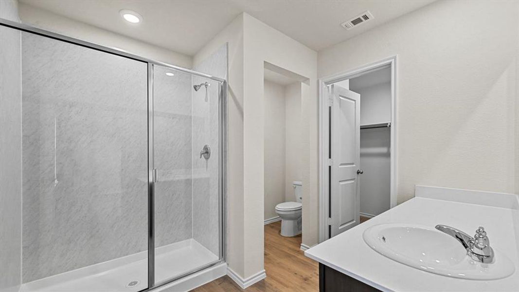 Bathroom featuring vanity, a stall shower, light wood finished floors, and a spacious closet