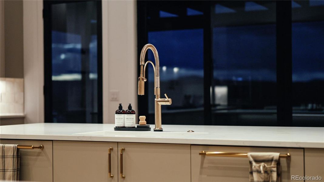 Close-up of interior finishes inside a home in Signature at Crystal Valley, Castle Rock (Image 17).