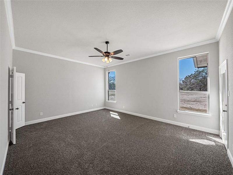 Prior listing photo. Property remains accurate - Unfurnished room with dark colored carpet, crown molding, and a ceiling fan