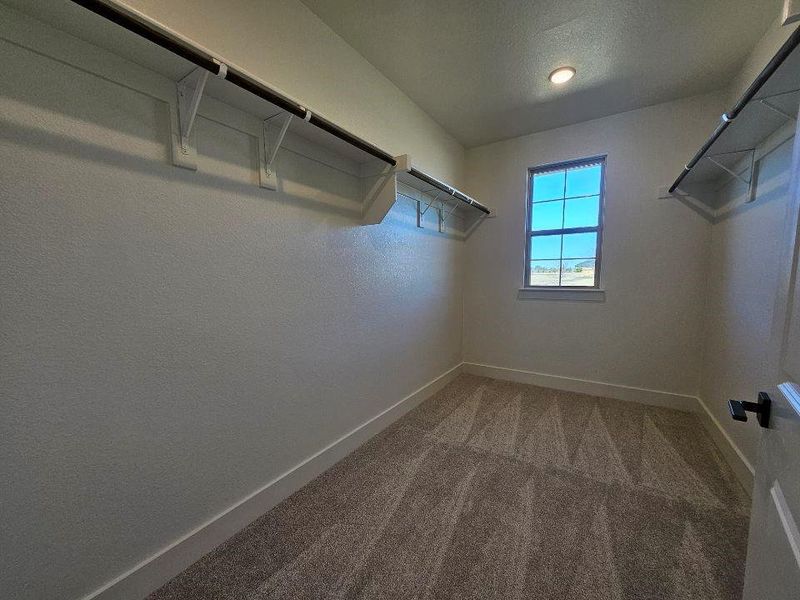 Walk in closet with light carpet