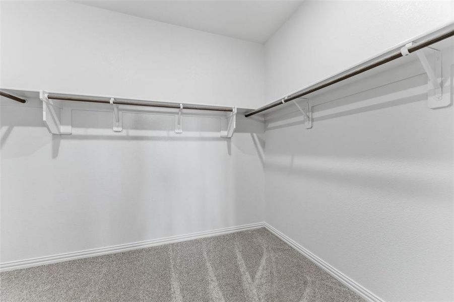 Spacious closet featuring carpet floors