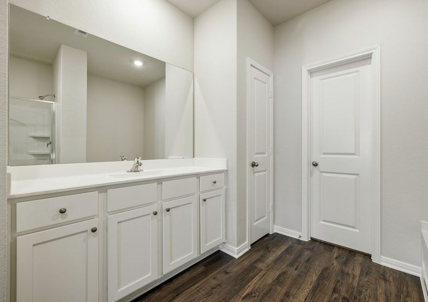 Spacious vanity in the master bathroom