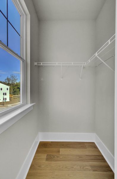 Spacious, unfurnished interior of a new home in Indigo Grove Single Family Homes, Johns Island (Image 35).