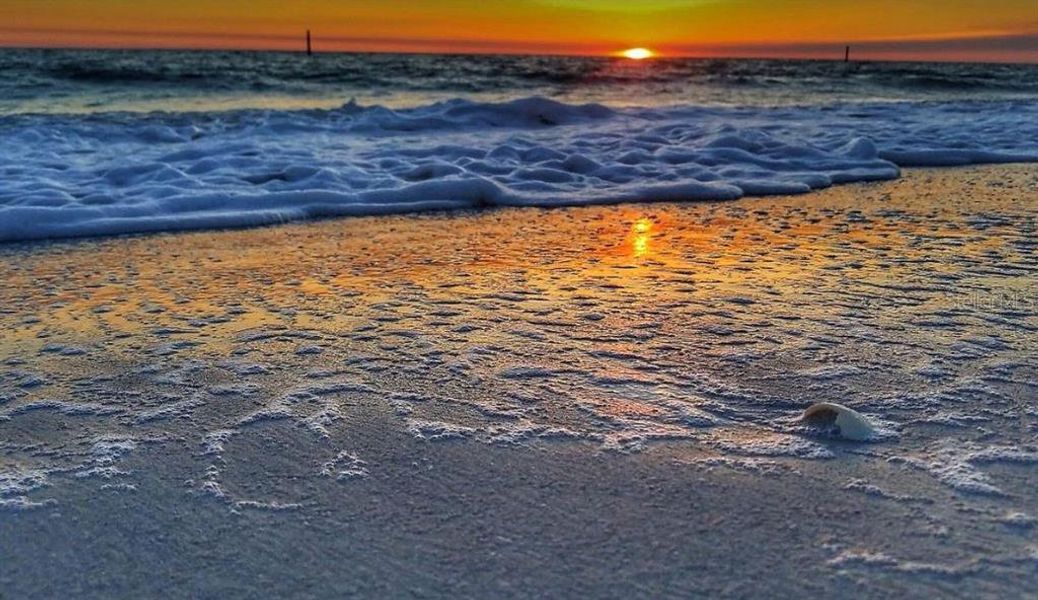 Site preparation for new homesites in , Port Charlotte (Image 37).