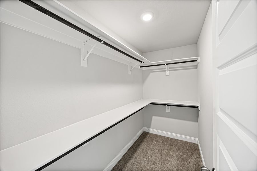 *Representative photo. Colors and features may differ*