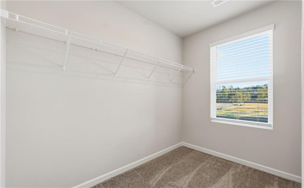 Spacious, unfurnished interior of a new home in Carolina, Palmetto (Image 6). Spacious, unfurnished interior of a new home in Carolina, Palmetto (Image 6).