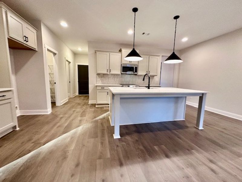Furnished interior view inside a new home in Perkins Place, Hogansville (Image 3).