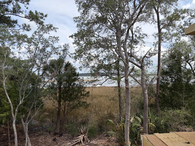 Natural landscape and outdoor views near  in Mount Pleasant (Image 12).