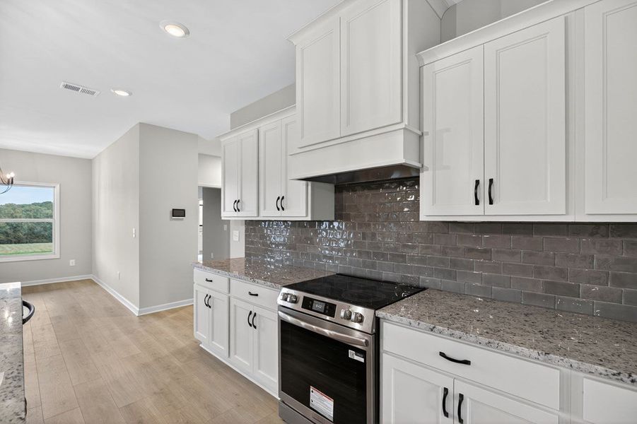 Furnished interior view inside a new home in GRAY ROAD, Roopville (Image 6).