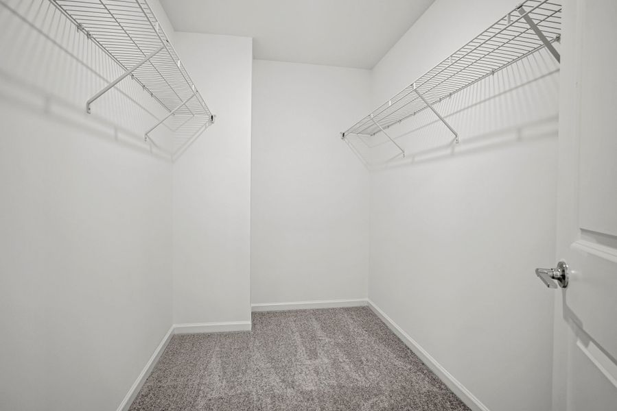 Spacious, unfurnished interior of a new home in Michaux Gardens, Belmont (Image 52).