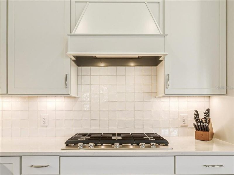 Close-up of interior finishes inside a home in Talon Preserve on Palmer Ranch, Nokomis (Image 24).
