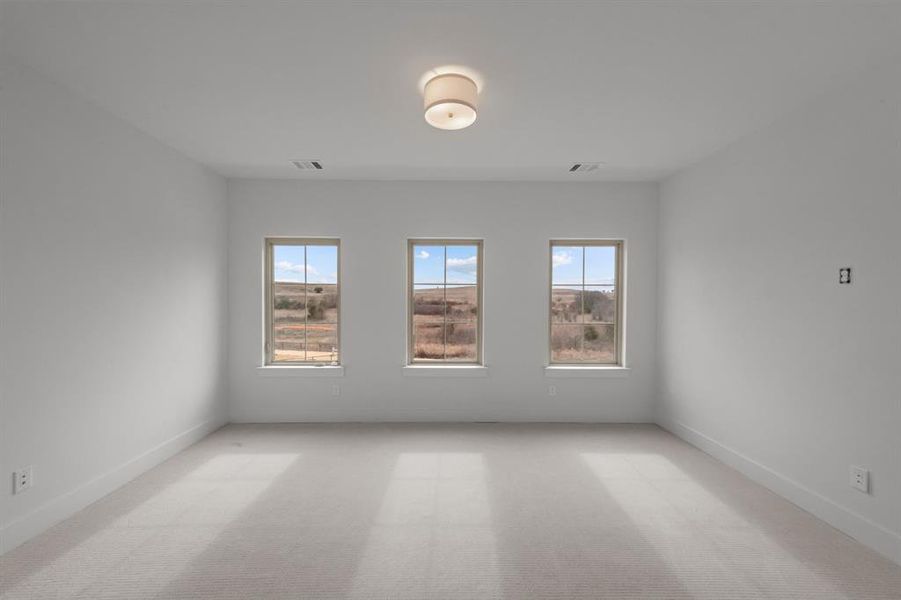 Empty room featuring a healthy amount of sunlight and light colored carpet