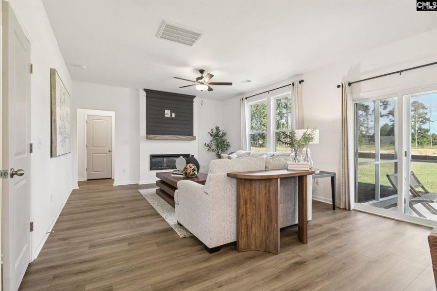 Furnished interior view inside a new home in Boykin Hills, Chapin (Image 13).