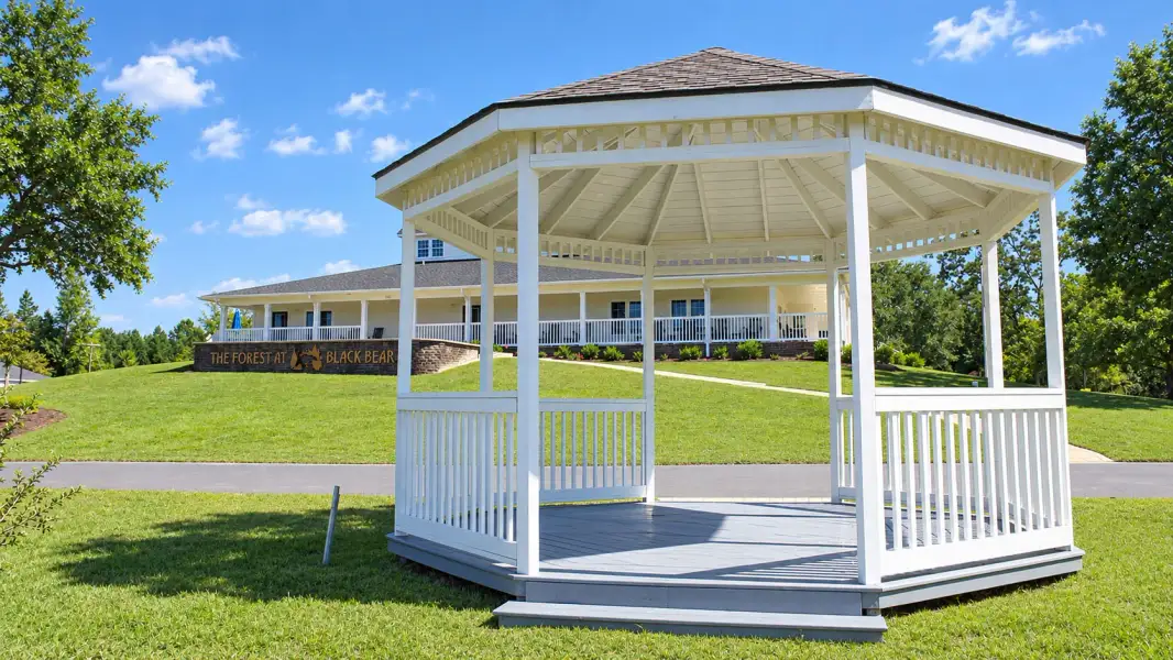 Community amenities in The Forest at Black Bear, Longs (Image 9).