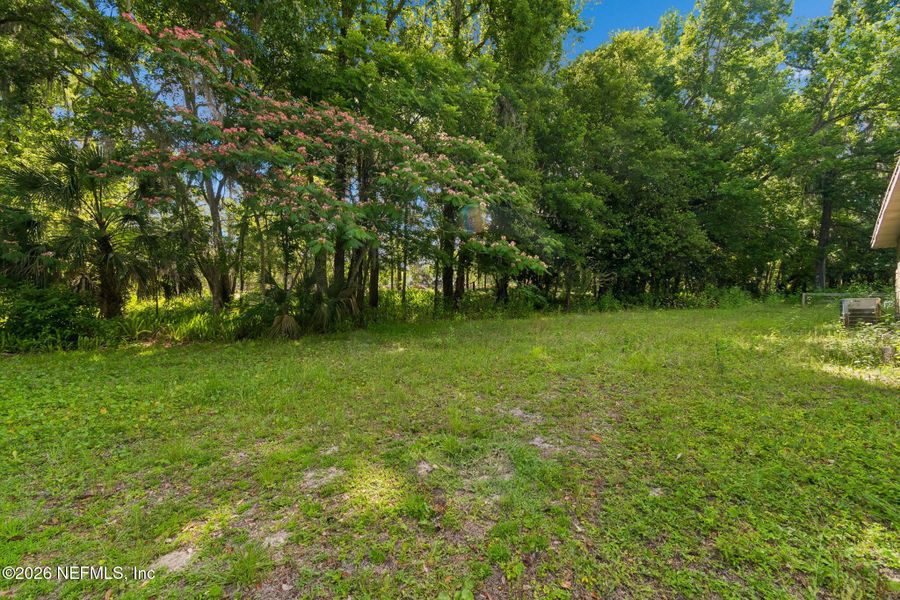 Natural landscape and outdoor views near  in St. Johns (Image 15).