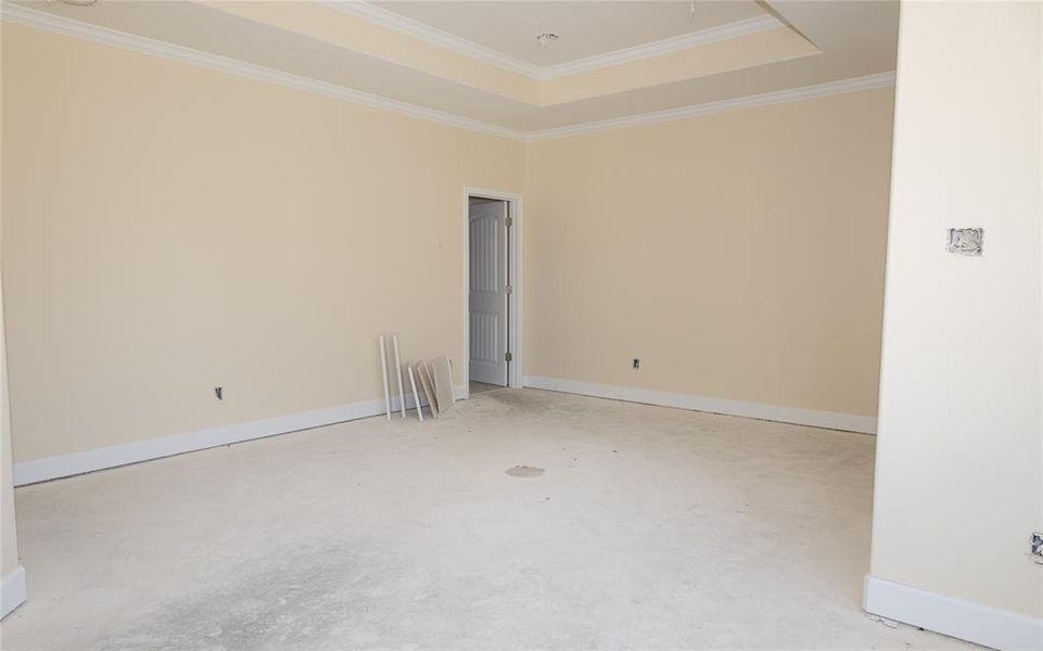 Empty room featuring crown molding and a tray ceiling