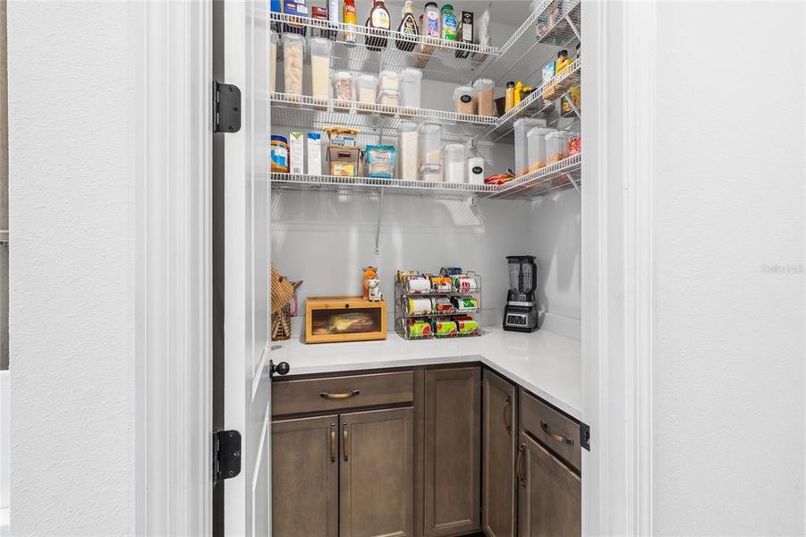 Close-up of interior finishes inside a home in Isles at Bayview, Parrish (Image 21).