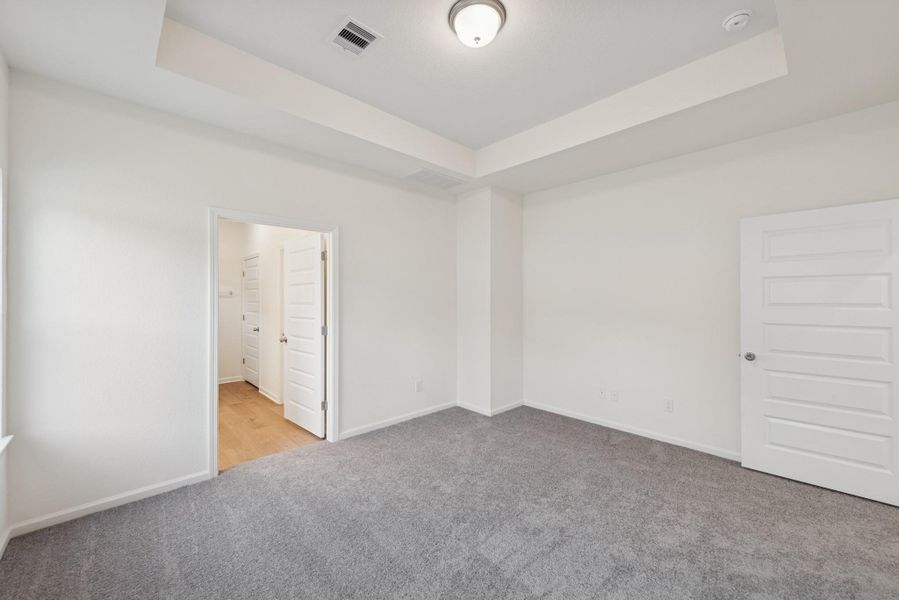 The Mockingbird II- Primary Suite with Tray Ceiling The Mockingbird II- Primary Suite with Tray Ceiling