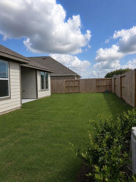 Backyard Backyard