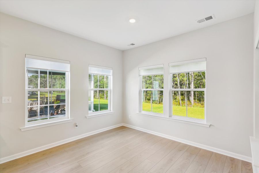 Spacious, unfurnished interior of a new home in Saint John's Lake: Arbor Collection, Johns Island (Image 58).