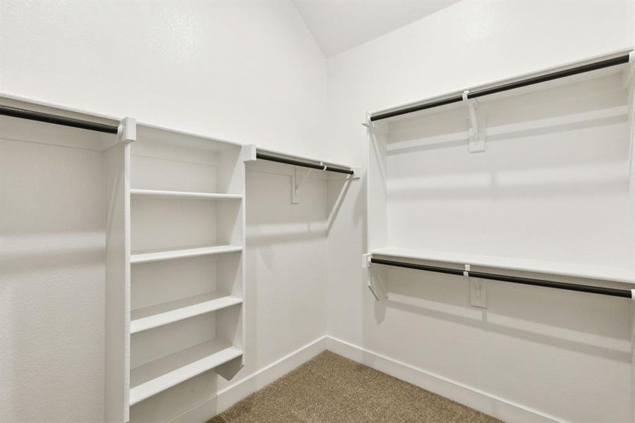 312 Bee Balm 312 Bee Balm