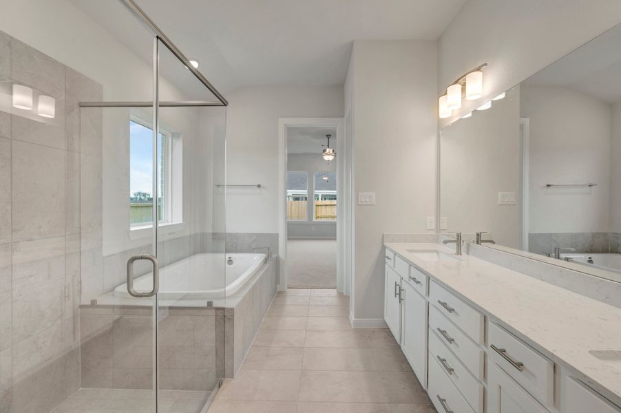 Owner's Bath