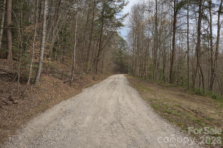 Natural landscape and outdoor views near  in Murphy (Image 35).