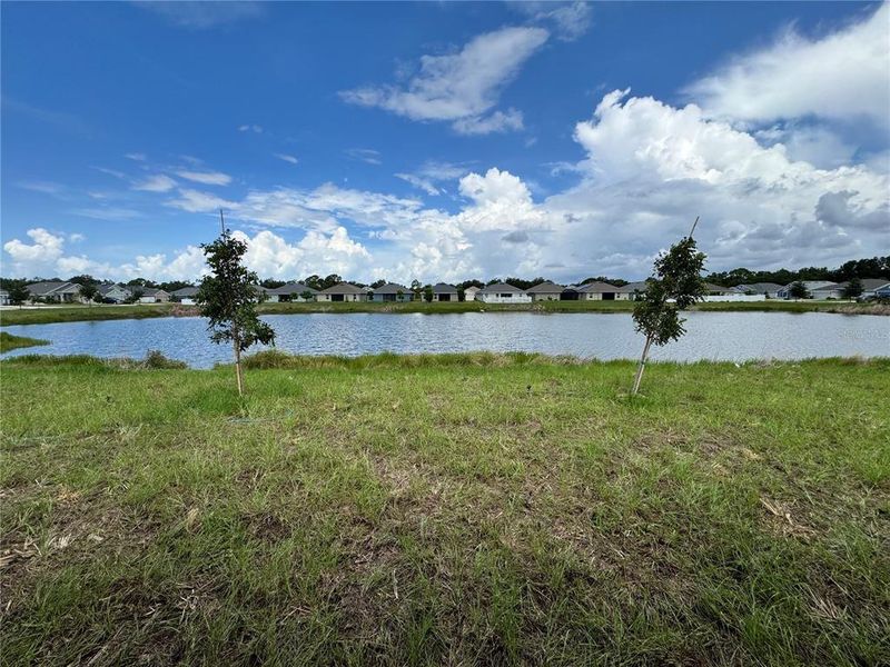 Natural landscape and outdoor views near Watercress Cove in North Port (Image 11).