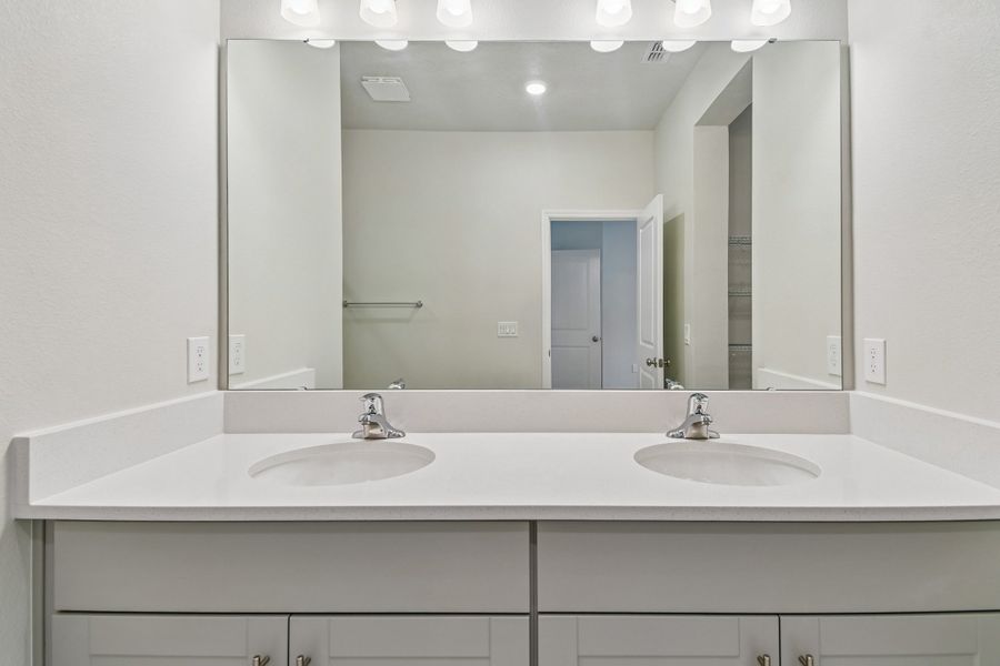 Owner's Bath