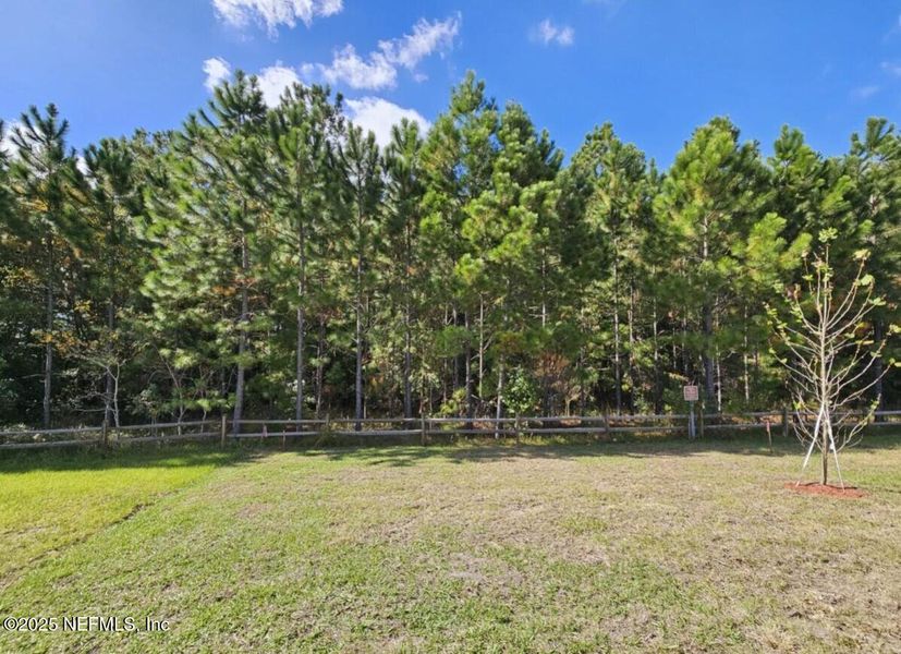 Natural landscape and outdoor views near The Arbors in Jacksonville (Image 31).