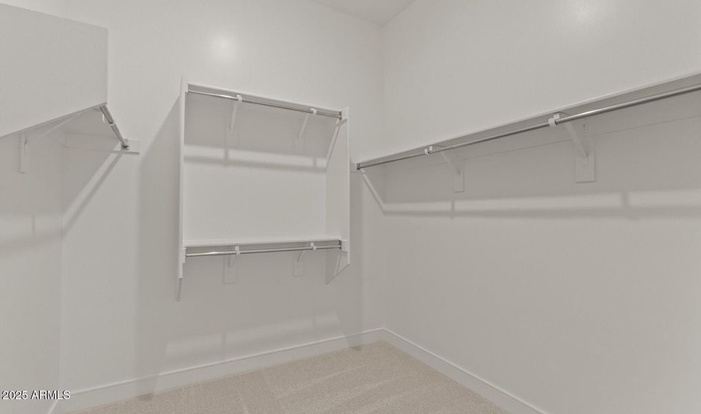 FSVV Lot #43 Primary WIC (Large)