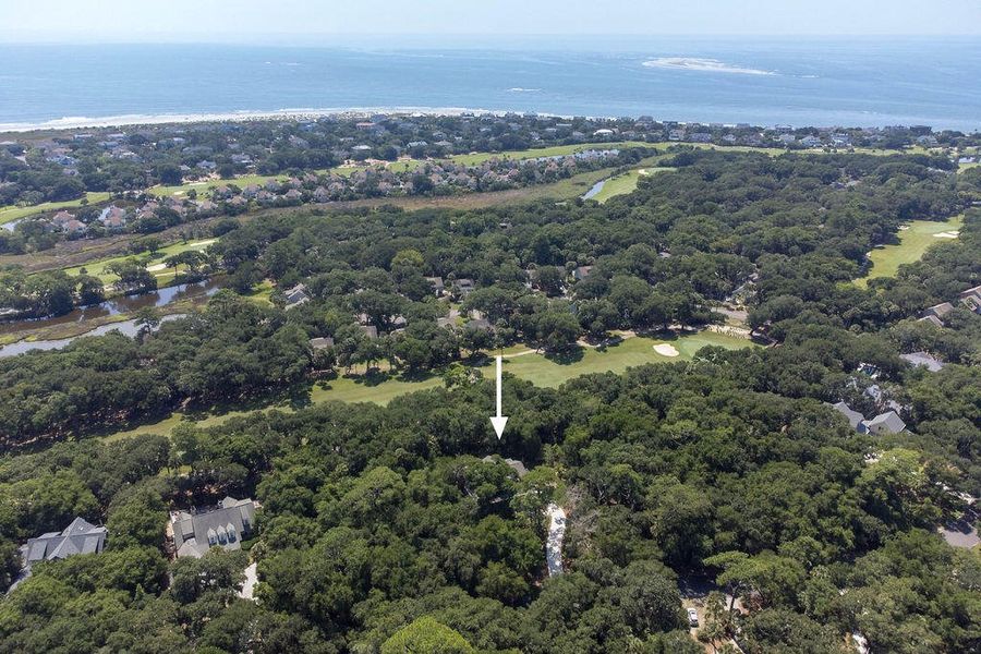 Natural landscape and outdoor views near  in Seabrook Island (Image 104).