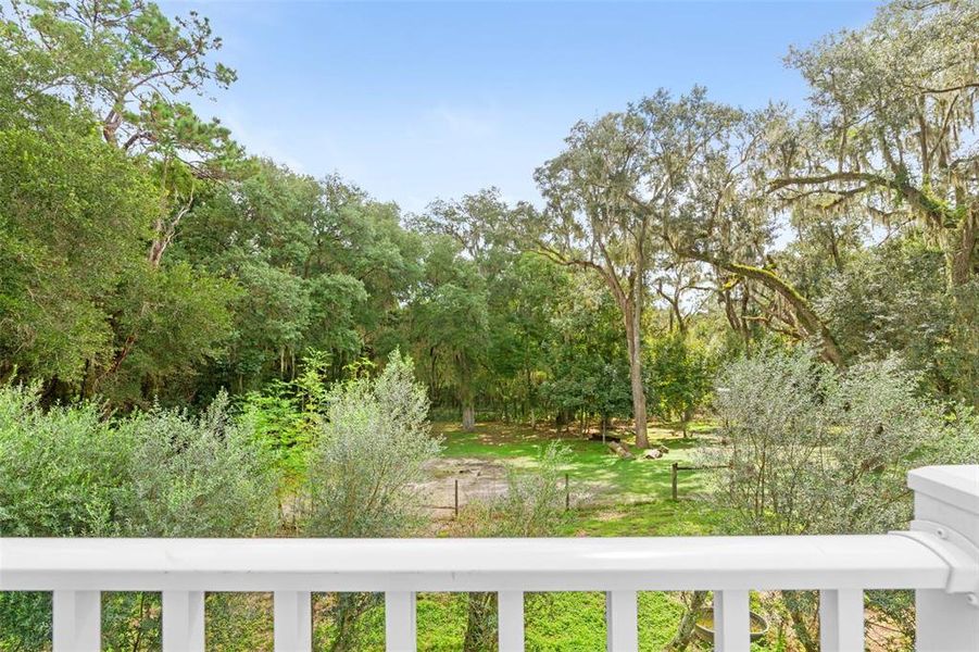 Natural landscape and outdoor views near  in Brooksville (Image 58).