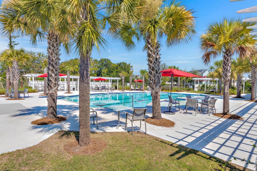 Community amenities in Heron's Walk at Summers Corner, Summerville (Image 52).