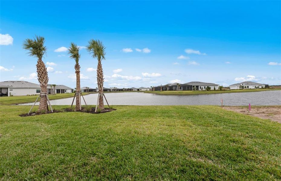 Natural landscape and outdoor views near Del Webb Catalina in Lakewood Ranch (Image 23). Natural landscape and outdoor views near Del Webb Catalina in Lakewood Ranch (Image 23).