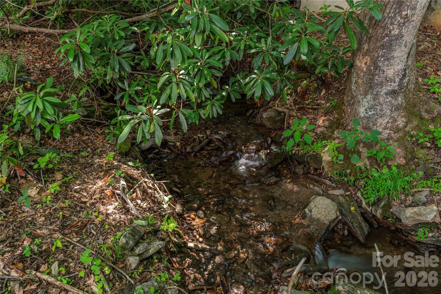 Natural landscape and outdoor views near  in Maggie Valley (Image 23).