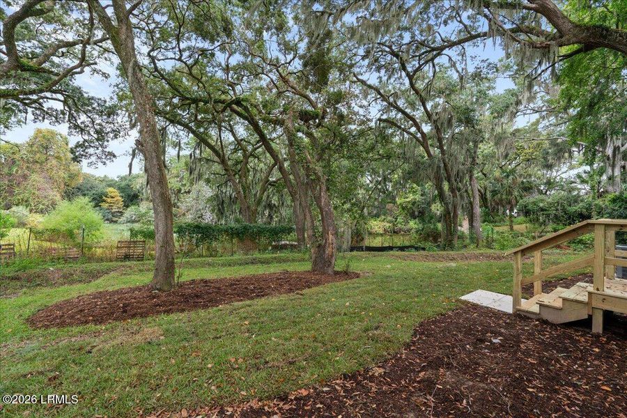 Natural landscape and outdoor views near  in Beaufort (Image 83).