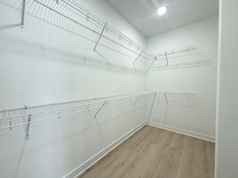 Walk in closet with light wood-type flooring