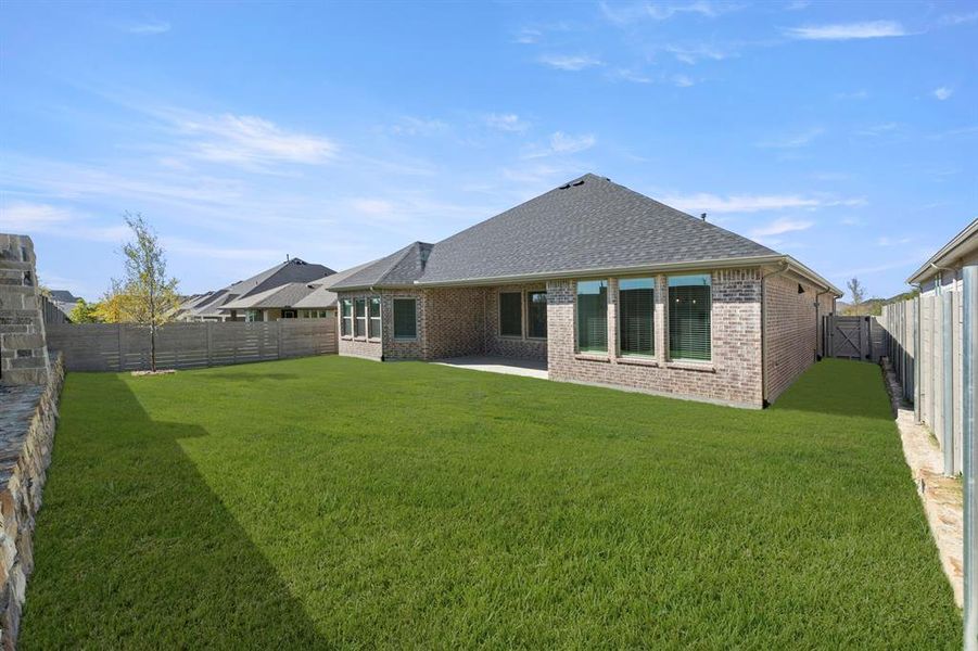 27. 2904 Barbary - Back (2)