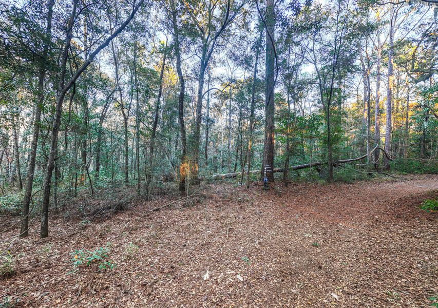 Natural landscape and outdoor views near in Dorchester (Image 32). Natural landscape and outdoor views near in Dorchester (Image 32).