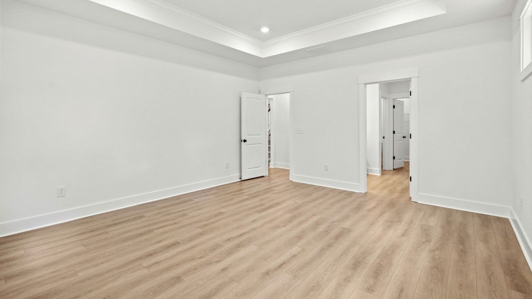 Owner's Bedroom with Trayed Ceiling