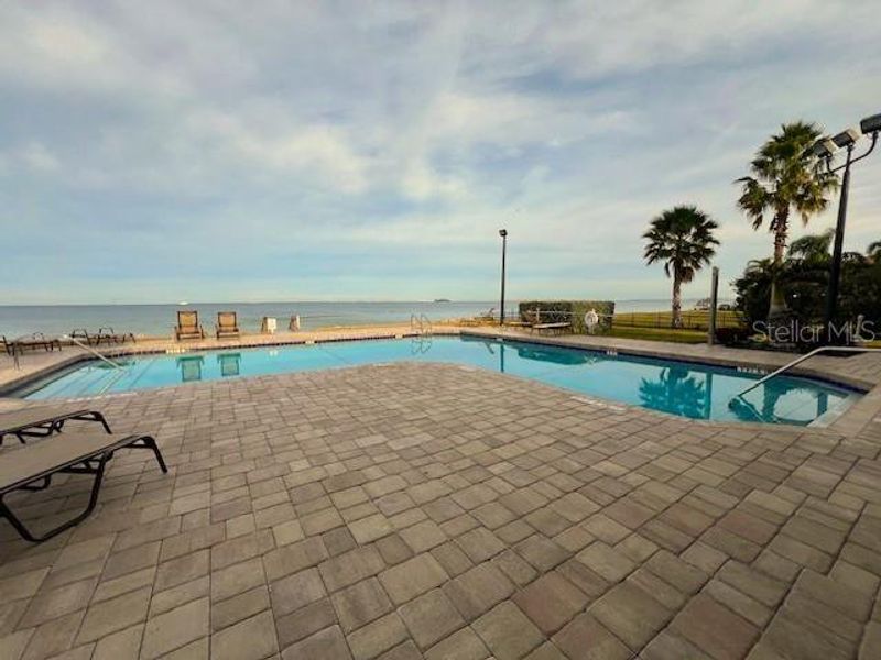 Pool Overlooks Tampa Bay