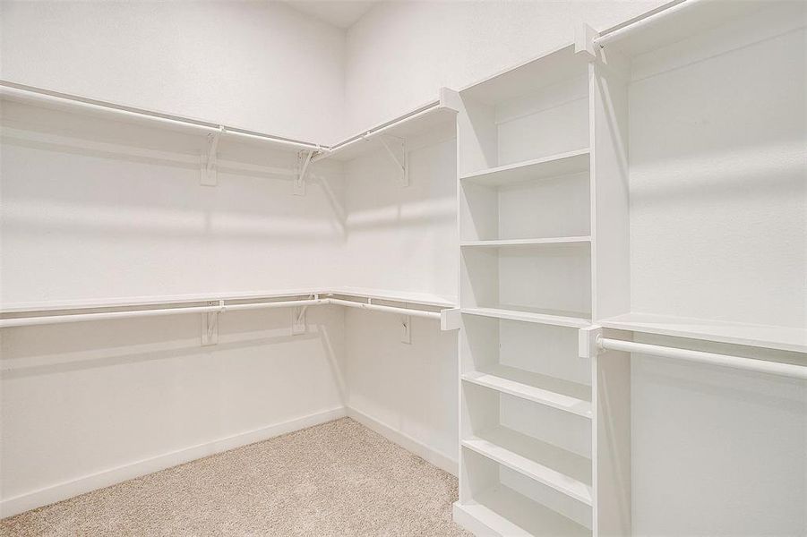 Spacious closet featuring light colored carpet