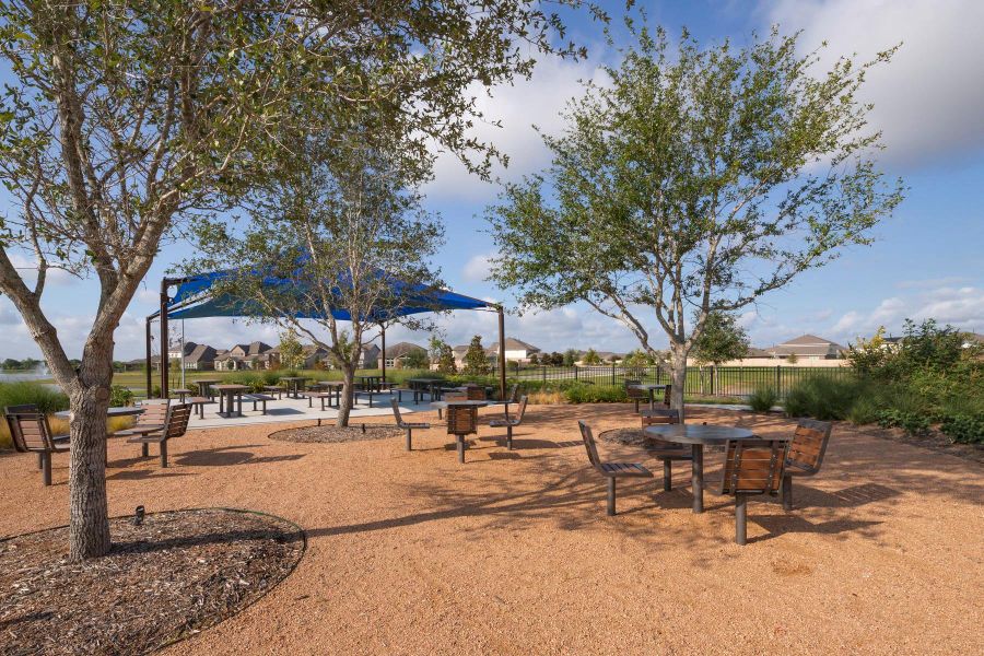 Community amenities in Sierra Vista, Iowa Colony (Image 10). Community amenities in Sierra Vista, Iowa Colony (Image 10).