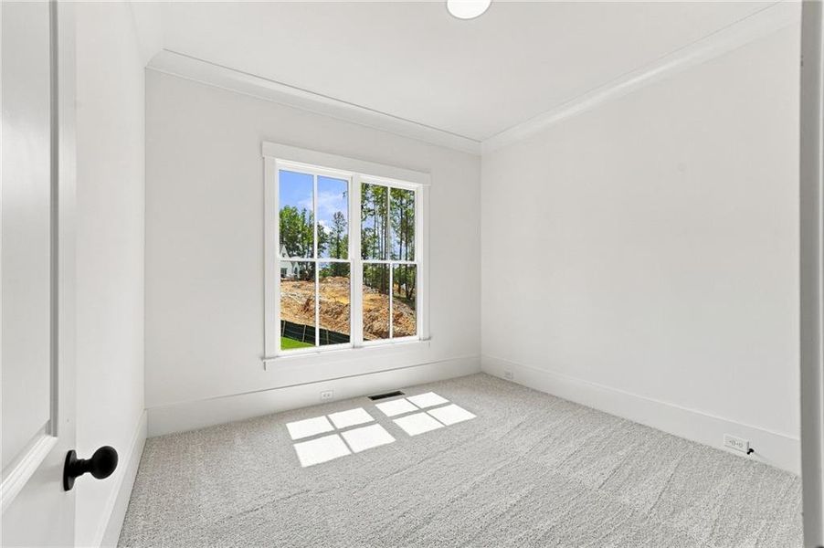 Spacious, unfurnished interior of a new home in Malone's Pond, Ball Ground (Image 54).